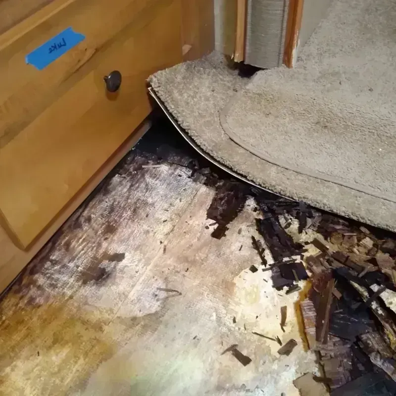 Wood Floor Water Damage in Greene County, AR